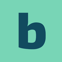Branded Surveys company logo.