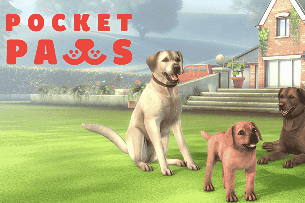 My Lovely Dogs
